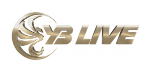 YB.png